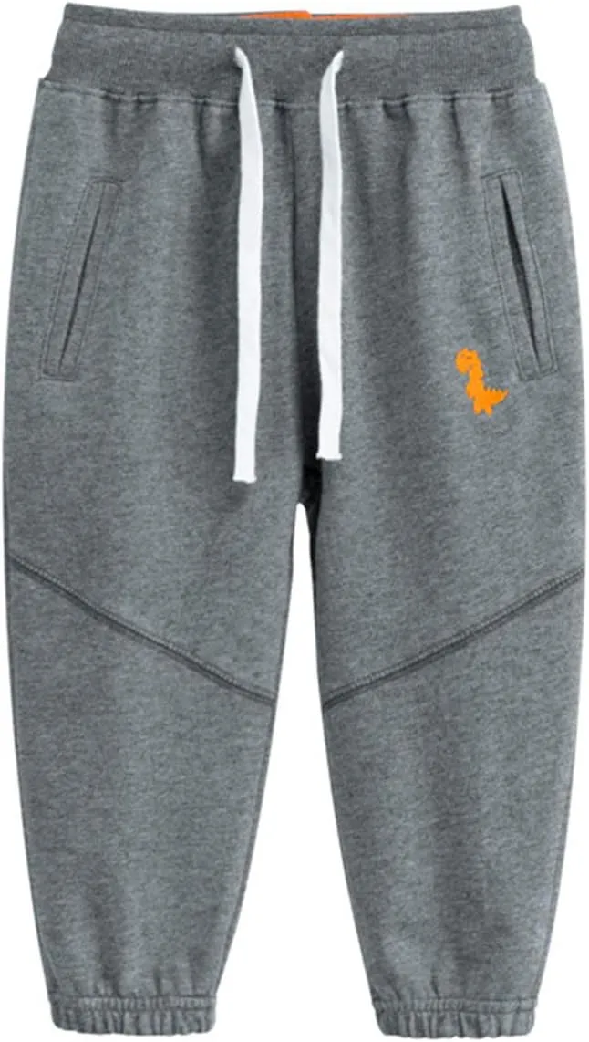 Toddler Boy's 2Pcs Pants, Kids Cotton Pull on Jogger, Boys Dinosaur Elastic Sweatpants